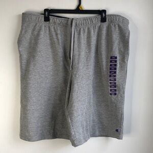 NWOT Champion grey shorts